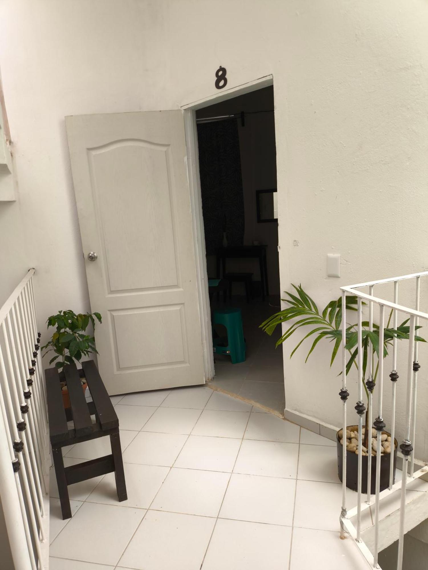 Hotel Casa Luna Palenque Eksteriør billede